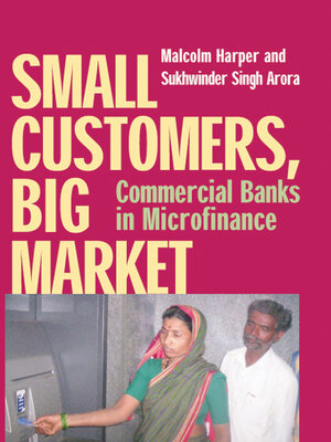 cover image of Small Customers, Big Market